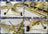 Fieseler Storch 1600mm KIT FULL version - foto 6