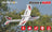 Volantex Ranger 600 / 3 canales con Gyro / RTF - foto 3