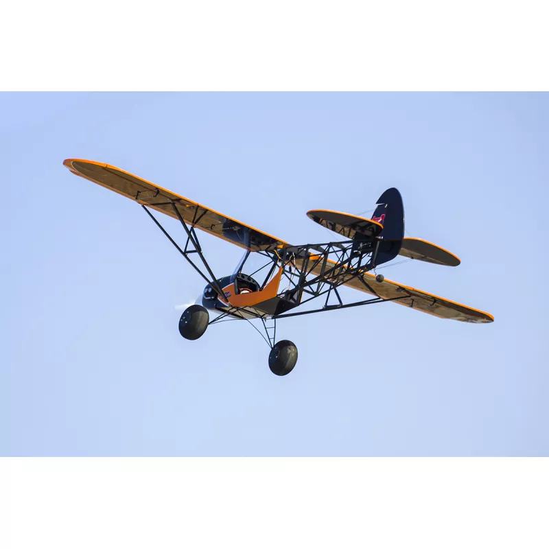 DWHobby Savage Bobber 1.88m (1/5 Escala) ARF - foto 8