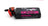 CNHL 1300-2S-100C