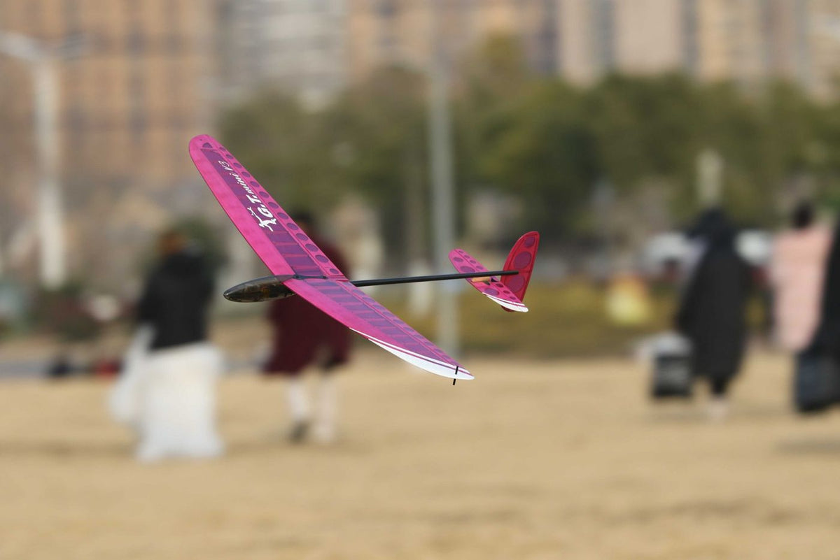 DLG SlingShot PNP