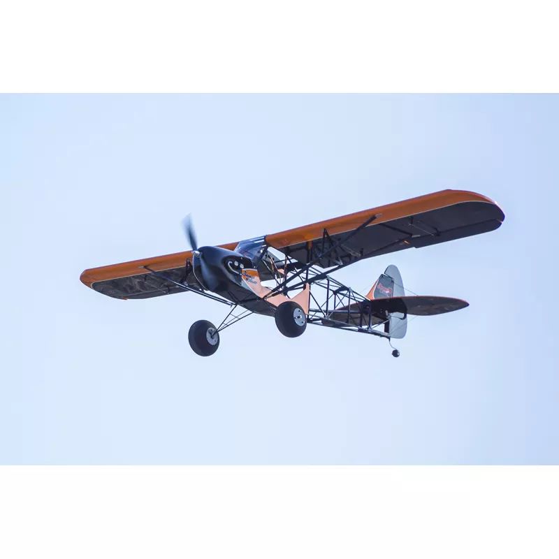DWHobby Savage Bobber 1.88m (1/5 Escala) ARF