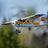 FMS Ranger 1220mm RTF / SIN Flotadores y Reflex